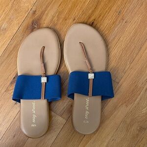Navy and Tan Sandals